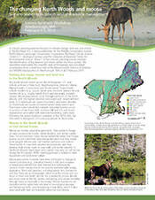 The cover of the Changing North Woods and Moose Newsletter