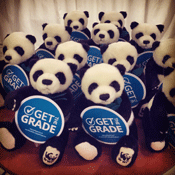 WWF Get the Grade panda bears
