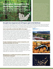 Ecological Drought in the Northeast United States newsletter