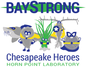 The five Chesapeake Bay Heroes: sturgeon, oyster, salt marsh, copepod, and diatom.