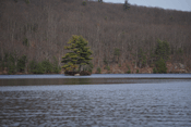 A lake scene with a hillside of trees in the background in Manchester, New Hampshire. The deciduous trees have no leaves but a few evergreens appear. A small rocky island appears in the lake with only a few evergreen trees and some low-growing plants.