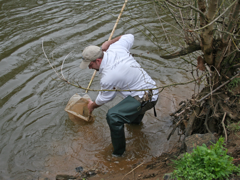 A person standing and hunched over a shallow part of a river holding a water quality sampling tool into the river.