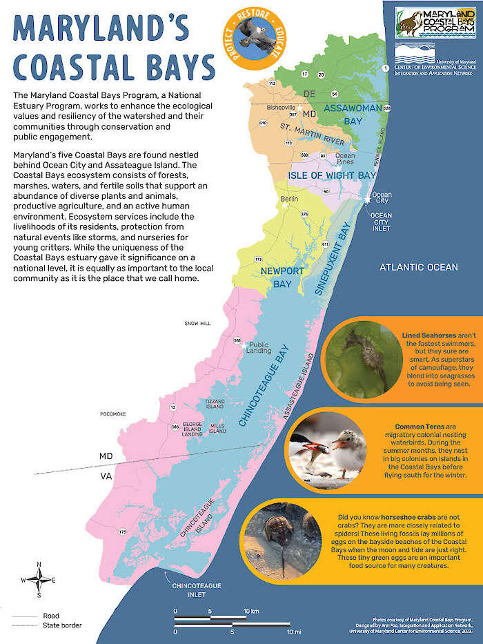 Informational poster about the Maryland Coastal Bays.