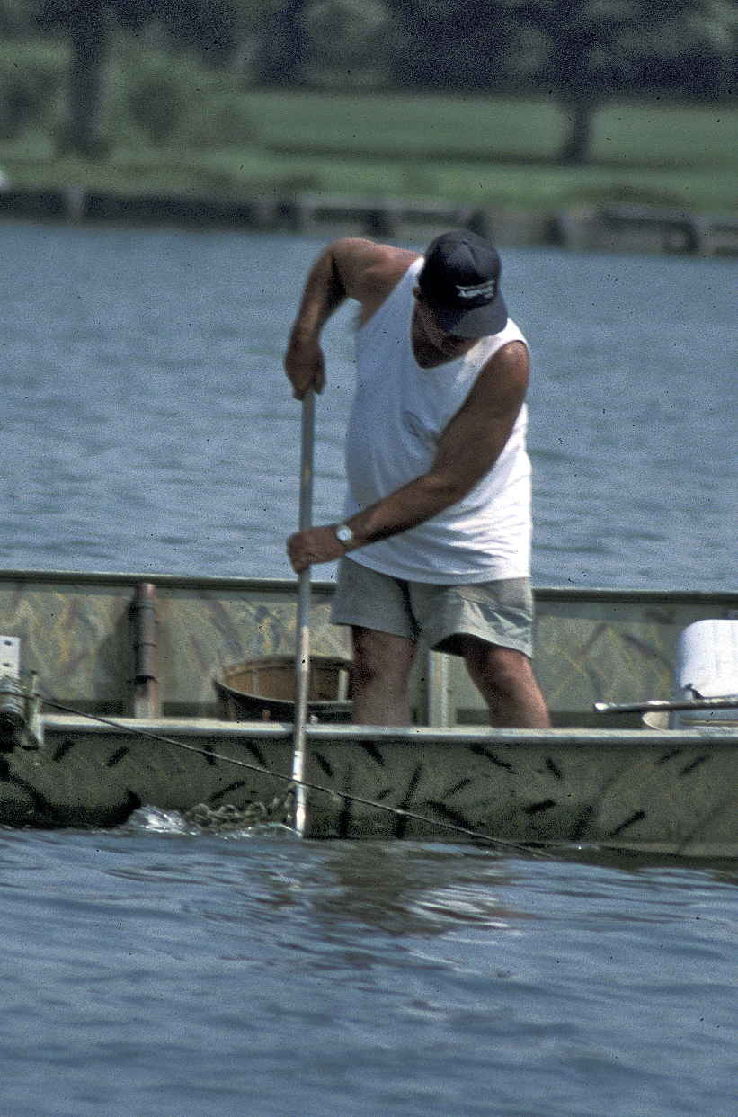 Crabbing using a Trotline in Chesapeake Bay