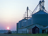 Grain Silos near Cambridge MD