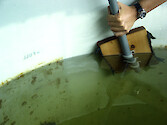 Regular scrubbing of the walls of the MEERC mesocosms tanks was essential for removing the epiphytic wall growth