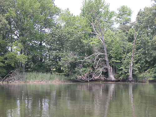 May 2005, Tred Avon River, Easton, MD