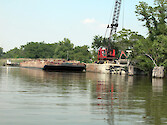 The >300' fully loaded gravel barges are pushed up-river by tugboats to this waterfront depot where the gravel is unloaded and hot mixed to produce road asphalt. The negative riparian impacts are: 1) the prop dredging of the river by the tug pushing oversized barges, resuspending the toxic benthic sediments; 2) streambank erosion from tug wake, and 3) stormwater runoff potentially laden with toxic hydrocarbons, oils, greases and metals.
North Fork of the Tred Avon River, Easton, MD