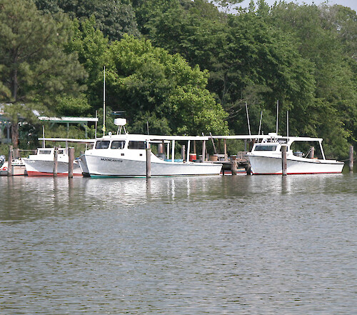 Traditional Maryland crab boats docked at a seafood market.
May 2005, Tred Avon River, Easton, MD