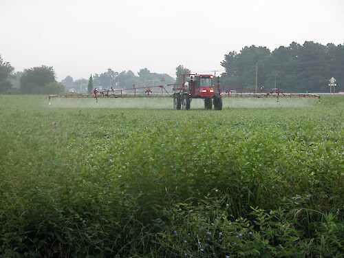 Over-application of herbicides and pesticides on farm fields can result in excess toxins and nutrients reaching the waterways.
Trappe, MD, June 30, 2005