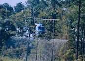 Aerial Spraying of Invasive Plant Species at Langley Air Force Base in Hampton, VA.