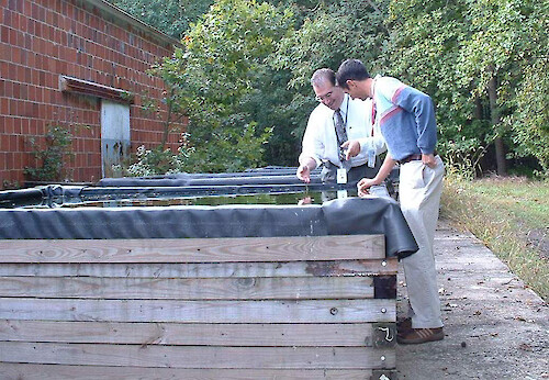 Army Personnel check submerged aquatic vegetation in grow-out tanks at Aberdeen Proving Grounds