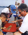 Navy Environmental Specialist explains the Life Cycle of the Blue Crab to local school children.