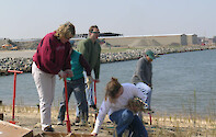 DoD volunteers plant beach grass to stabilize an eroding shoreline in the Southern Bay watershed.
