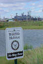 Restored tidal wetlands at Norfolk Naval Base, VA (Salt Marsh Park)
