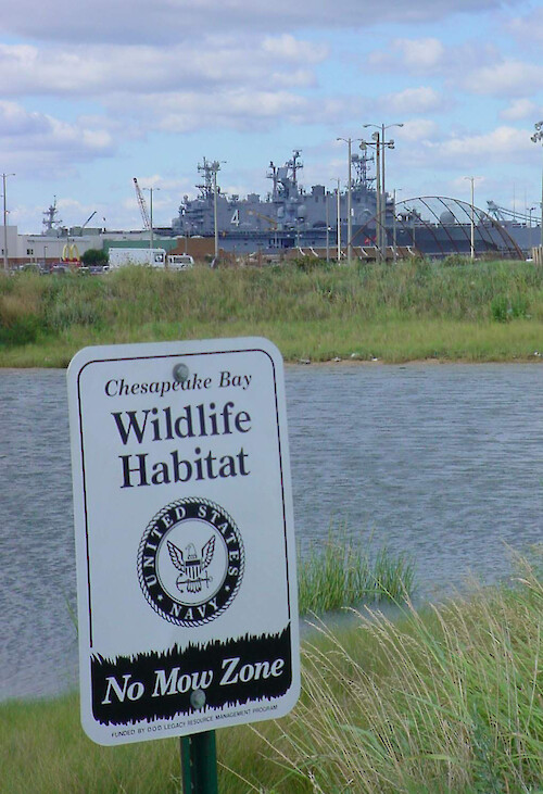 Restored tidal wetlands at Norfolk Naval Base, VA (Salt Marsh Park)