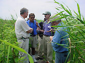 Dr. Stephen Ailstock discusses control methods for invasive plant species with DoD Chesapeake Bay Quality Management Board members.