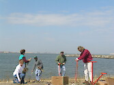 Navy Natural Resources personnel plant American beachgrass in an effort to stabilize eroding beachfront at Hamster Beach at the Naval Station in Norfolk, VA.