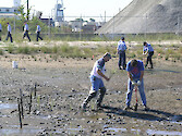 Navy and civilian volunteers plant 9000 plants on a former Superfund site.