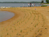 Volunteers plant wetland plants at Naval Air Station Patuxent River's Webster Field Annex.