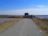 Loss of marsh on either side of this road at Blackwater National Wildlife Refuge leaves the road vulnerable to erosion