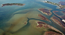 Shoals and seagrass beds on the border between Sinepuxent and Chincoteague Bays.