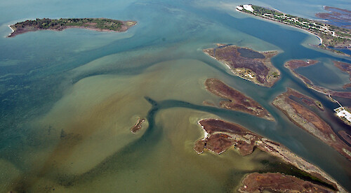 Shoals and seagrass beds on the border between Sinepuxent and Chincoteague Bays.