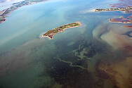 Shoals and seagrass on the border between Sinepuxent and Chincoteague Bays.