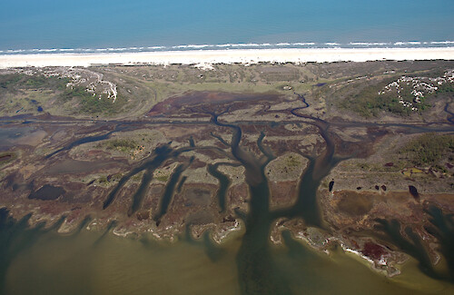 Islands, marshes, and seagrass behind the barrier of Assateague Island in Chincoteague Bay.