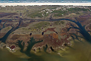 Marshes, ditches, and seagrass behind Assateague Island in Chincoteague Bay.