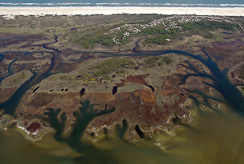Marshes, ditches, and seagrass behind Assateague Island in Chincoteague Bay.