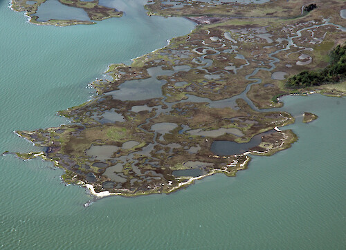 Mills Island in Chincoteague Bay, a rapidly-disappearing, eroding marsh island.