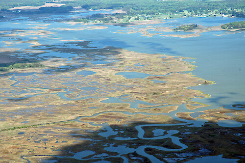 Ditches, eroding marshes, and a golf course in Newport Bay.