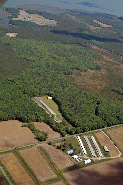 Poultry houses and forest in the Chincoteague Bay watershed.