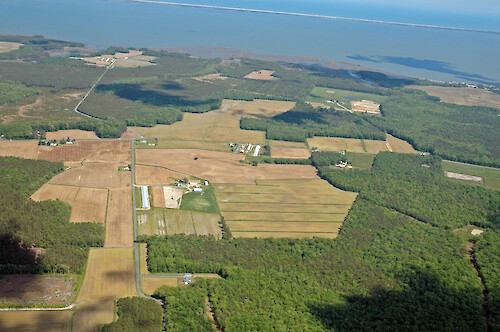 Agriculture and forest make up the majority of the Chincoteague Bay watershed.