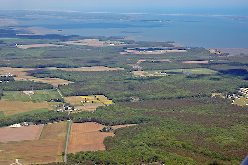 Agriculture and forest make up the majority of the Chincoteague Bay watershed.