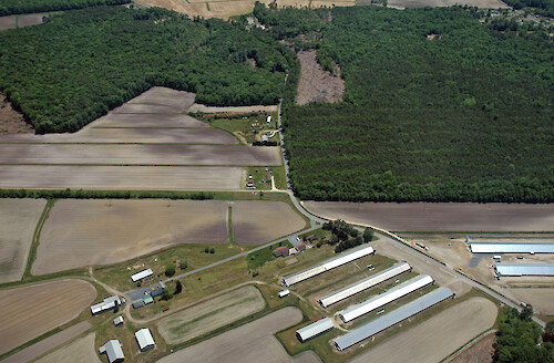 Agriculture and poultry houses in Newport Bay watershed