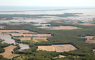 The Newport Bay watershed is primarily agriculture and forest. This photo is looking south-east, with Trappe Creek in the front left.