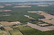 Agriculture and forest in Newport Bay watershed