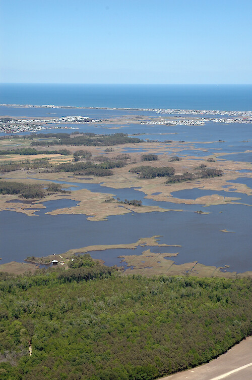 Marshes on the peninsula between the mouths of Ros Creek and Grey's Creek, in Assawoman Bay. In the background is Little Assawoman Bay, Delaware