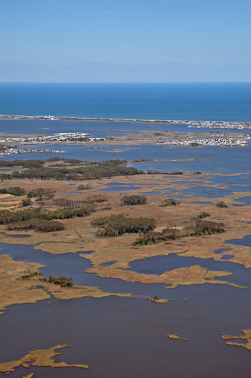Marshes on the peninsula between the mouths of Roy Creek and Grey's Creek, in Assawoman Bay. In the background is Little Assawoman Bay, Delaware