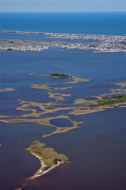 Marshes in Assawoman Bay. In the background is Little Assawoman Bay, Delaware