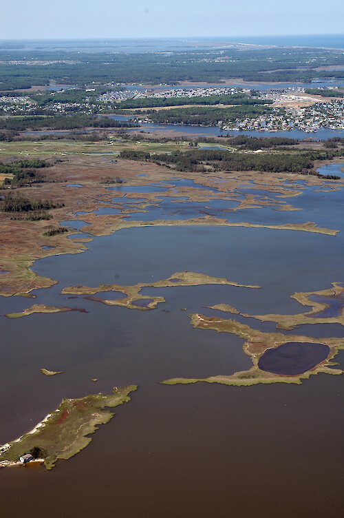 Marshes on the peninsula between the mouths of Roy Creek and Grey's Creek, in Assawoman Bay