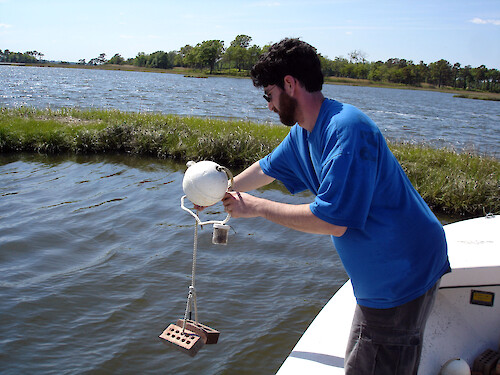 Ben Fertig deploying macro-algae sampler in the St. Martin's river