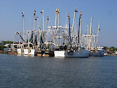 Boats rigged for commercial fisheries in Chincoteague Bay
