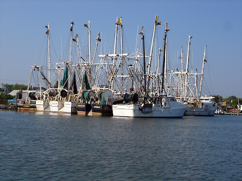 Boats rigged for commercial fisheries in Chincoteague Bay
