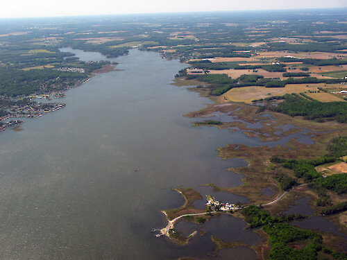 Looking west up St. Martin River. Shingle Landing Prong goes off to the left, and Bishopville Prong to the right.
