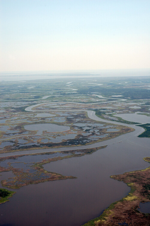 The Blackwater River in Blackwater National Wildlife Refuge. The river drains into Fishing Bay (in the background). This view is looking approximately south-east.