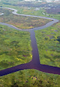 Healthy marshes in Blackwater National Wildlife Refuge