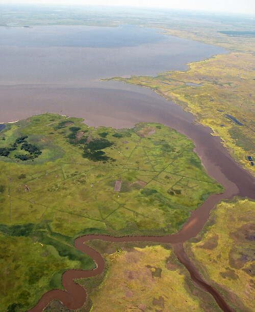 This photo shows a plume of water coming out of the Transquaking River into Fishing Bay at the top of the photo, and a separate plume entering Fishing Bay from Island Creek in the foreground. Marsh ditching is evident in the foreground.